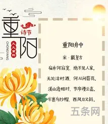 有关重阳节的诗句 古诗大全(岁岁重阳今又重阳朗诵稿)