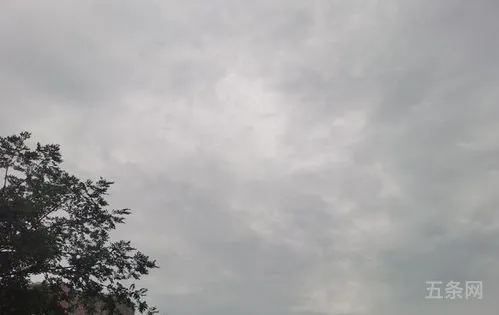 雨后的天空那么那么那么(雨后的天空很蓝,像用清水洗过的蓝)