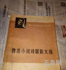 鲁迅小说集散文集的内容总结概括(鲁迅散文集包括哪些)