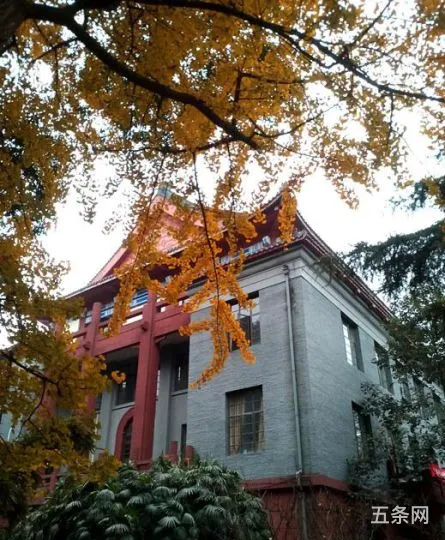 四川大学法学院在哪个校区(四川大学法学院研究生招生简章)