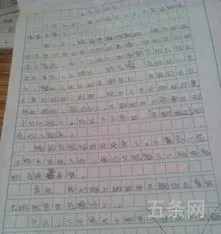 以泪为题的作文600字六年级(《泪》作文)