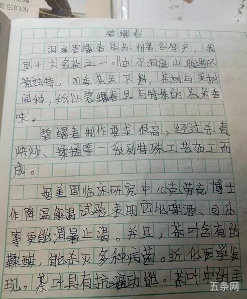 以节日为题的作文600字作文初一(《春节》作文600字)