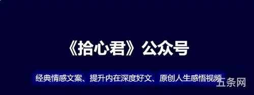 恋后感文案(表达感情的文案)