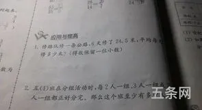 关于海龟的作文(三年级小练笔海龟100字)