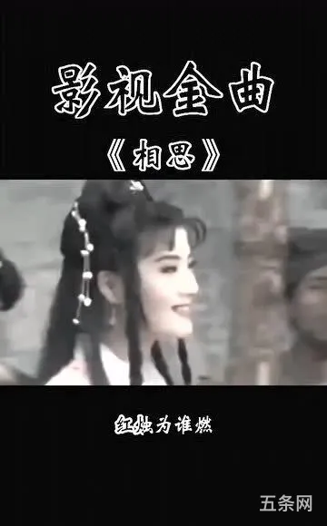 那一首歌好听(十首好听的歌曲排行榜)