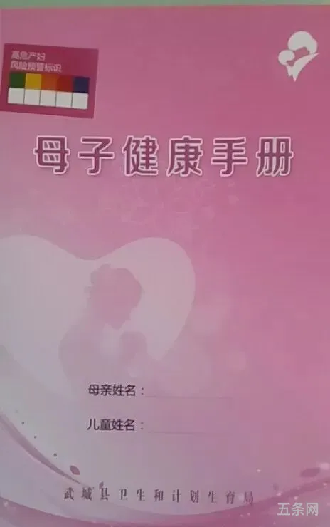 幼儿保健手册是什么样子是母子健康手册吗