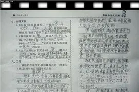 寒假生活的作文300字(我的伙伴作文300字)