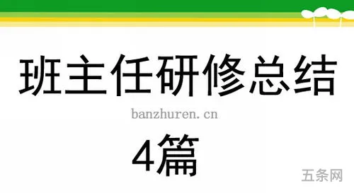 班主任研修班主任培训研修总结