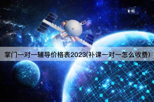 掌门一对一辅导价格表2023(补课一对一怎么收费)