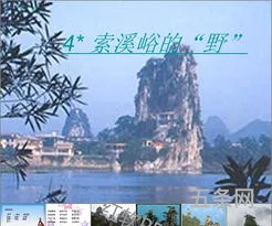 索溪峪的野教学设计一等奖(索溪峪的“野”)