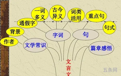 古文伤仲永全文(伤仲永的仲什么意思)