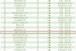 安徽大学专业排名一览表(安徽大学哪个专业最好)