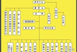 公司治理结构报告(企业管理8大系统)