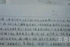 新年见闻作文600字(春节返乡见闻800字作文)