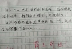 我应该这样做作文500字怎么写(以这样做不对为题写作文)