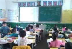 一年级班务工作计划小学(一年级班级规划与发展目标)