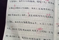 初一周记500字写事周末生活(初中周记600字左右)