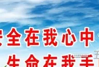 生命安全教育主题班会(生命教育心得体会500字)