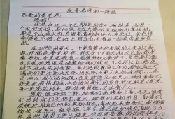 文明家庭事迹材料范文(个人先进事迹材料500字)