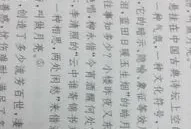 关于环境的作文500字(环境描写500字摘抄)