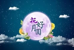 中秋节的好句摘抄简短(中秋节的一小段美文)