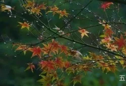 一场秋雨一场寒下一句是啥读音