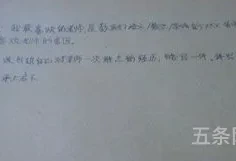 我喜欢的一堂语文课500字(一堂特别的语文课300字)