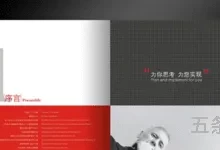 公司画册设计哪家好一点(logo设计公司)