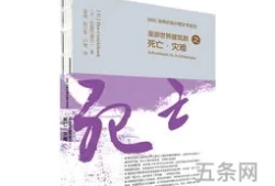 漫游世界建筑群纪录片观后感1000字(大国建造纪录片观后感)