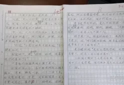 以温暖为话题作文800字优秀作文怎么写(怎么写语文作文)