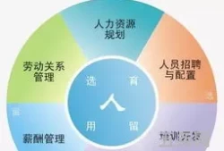 人力六大模块有哪些(人力资源管理6大模块)