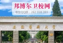 安徽医科大学文科有什么专业(安徽医学高等专科学校单招专业)