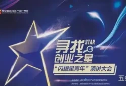 创业之星 实训报告(创业之星实训心得体会1500)