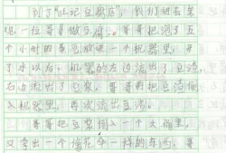 成长历程作文600字(以成长的过程为题写一篇作文)