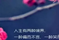 精彩人生的优美句子的魅力(短短一句,说透人生)