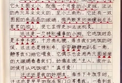 动物家园作文400字(介绍动物作文—300字)