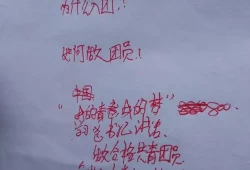 我的青春我的城小学征文(我和我的校园征文800字)