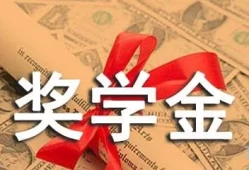 大学奖学金申请理由500字(奖学金个人自述200字)