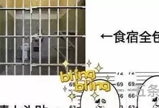 打架成本有多高周记(打架成本警示牌高清)