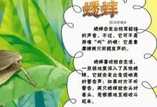 "昆虫记读后感,300字(《昆虫记》读后感400字左右)