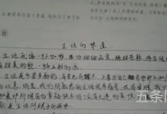 让什么充满味道作文开头(让充满味道半命题作文800字)