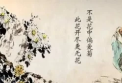 此花开尽更无花的全诗拼音(元稹的菊花中斜字怎么读)