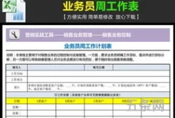 项目报表模板范文(工作日报表模板简单)