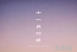 十一月您好语录简短句子(十一月你好朋友圈正能量)