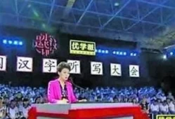 中国听写大会2019(中国汉字听写大会评委)