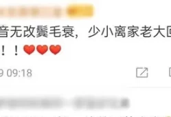 血浓于水的意思解释(血浓于水指的是什么人)