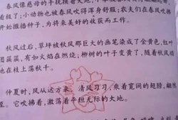 好段落摘抄20字(好段大全20字以上30字以下)