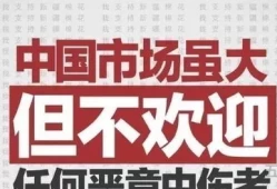 阿迪达斯发表了什么言论(刘亦菲与阿迪达斯解约事件)