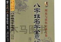 周易起名书籍(易学起名)