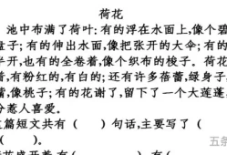 15篇短文本阅读该怎么写(阅读短文文章)